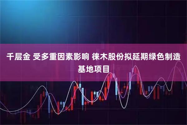 千层金 受多重因素影响 徕木股份拟延期绿色制造基地项目