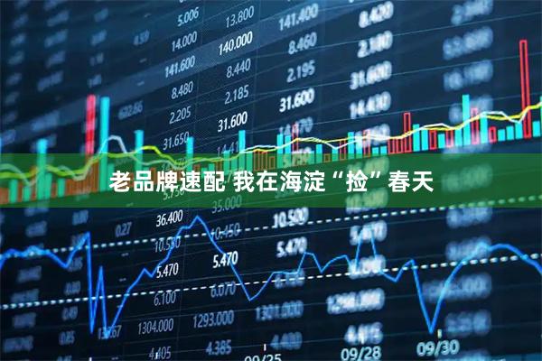 老品牌速配 我在海淀“捡”春天