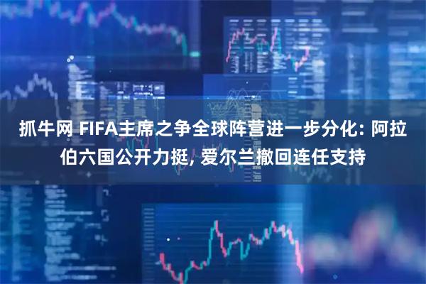 抓牛网 FIFA主席之争全球阵营进一步分化: 阿拉伯六国公开力挺, 爱尔兰撤回连任支持